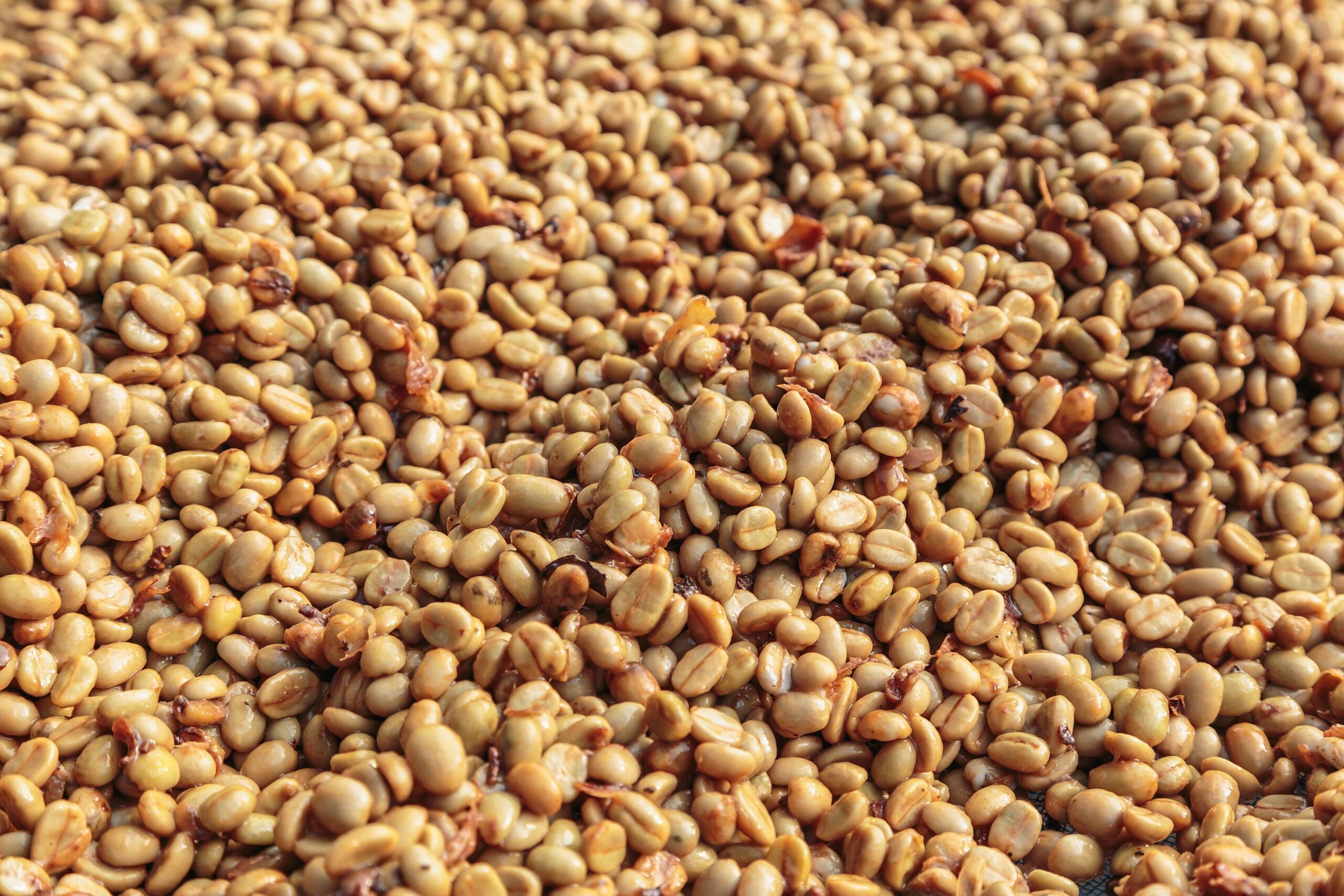 The Wush Wush Heirloom