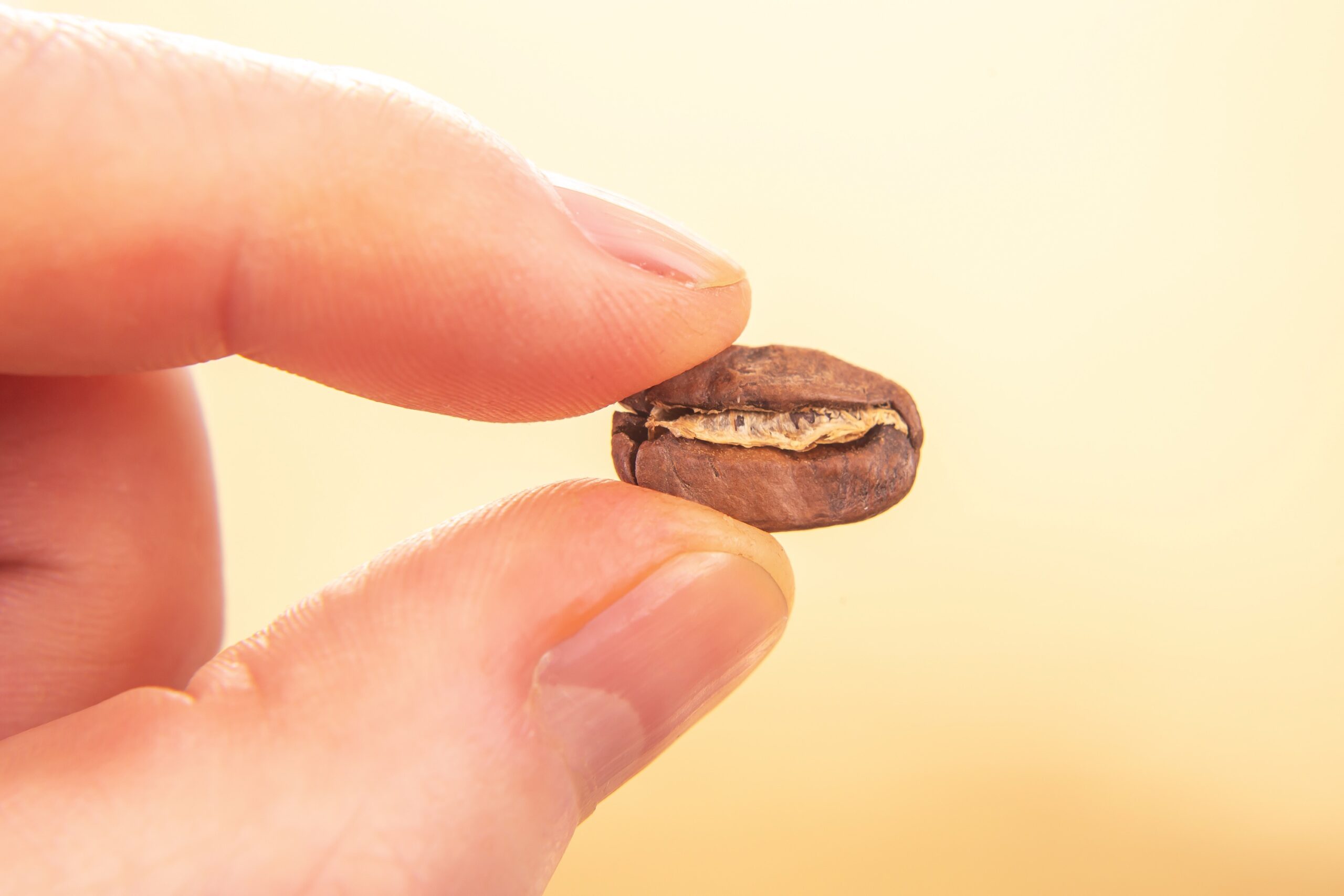 Thermal Shock Experiment